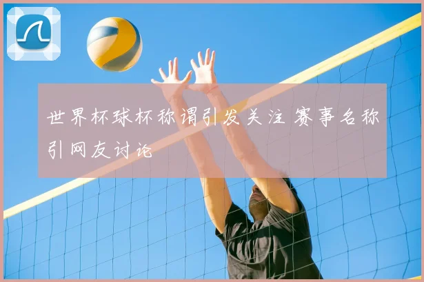 世界杯球杯称谓引发关注 赛事名称引网友讨论
