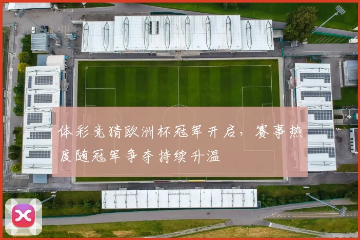 体彩竞猜欧洲杯冠军开启,赛事热度随冠军争夺持续升温