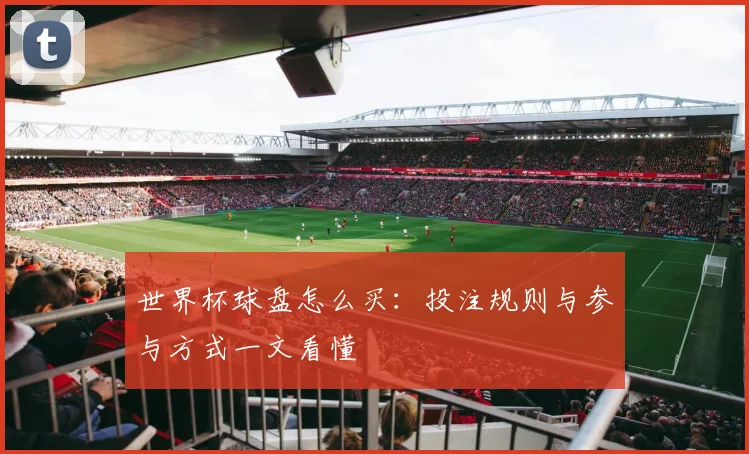 世界杯球盘怎么买：投注规则与参与方式一文看懂