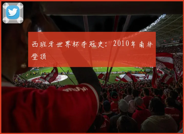西班牙世界杯夺冠史：2010年南非登顶